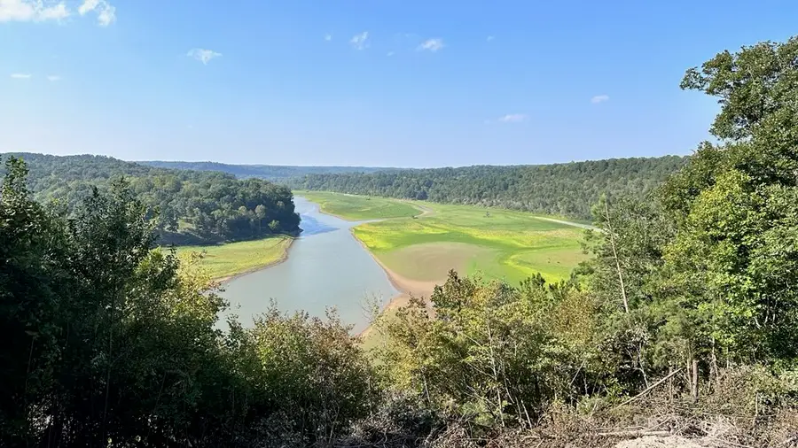 Woodhaven Drive Lake Front Drive, Hindsville, AR 72738 - #2