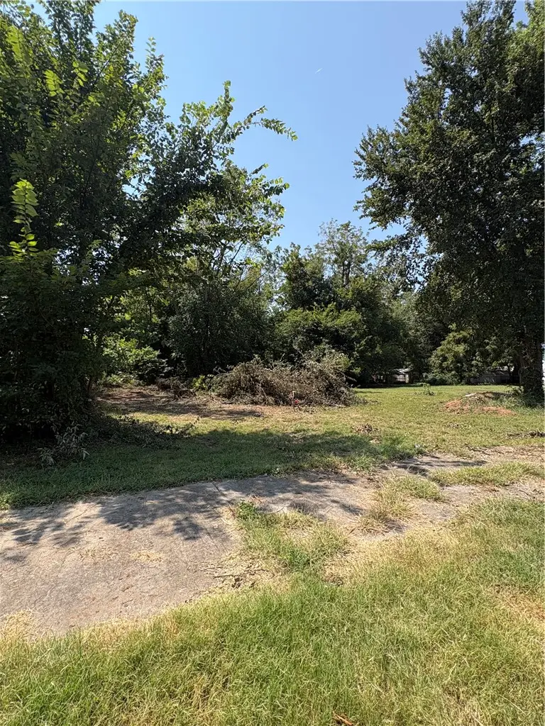Tract B - 0.28+/- Front Street, Stark City, MO 64866 - #2