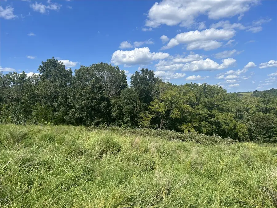 Hope Creek Lane, Harrison, AR 72601 - #2