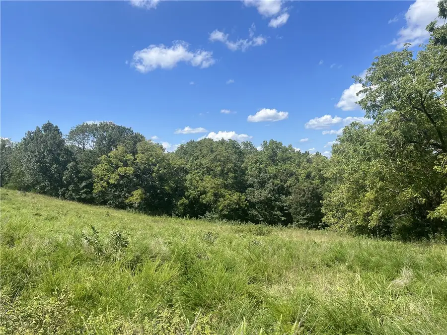 Hope Creek Lane, Harrison, AR 72601 - #3