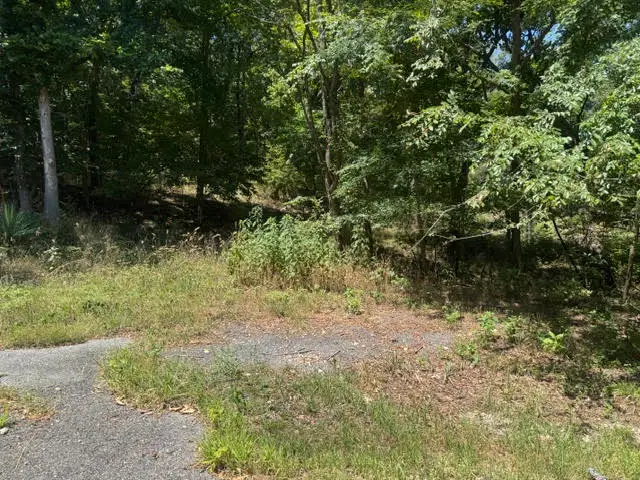 10 Pine Lane, Holiday Island, AR 72631 - #1