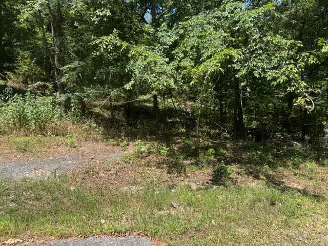 10 Pine Lane, Holiday Island, AR 72631 - #2