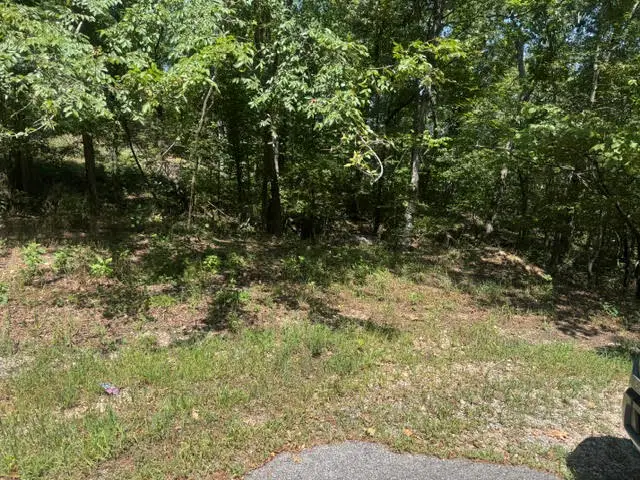 10 Pine Lane, Holiday Island, AR 72631 - #3