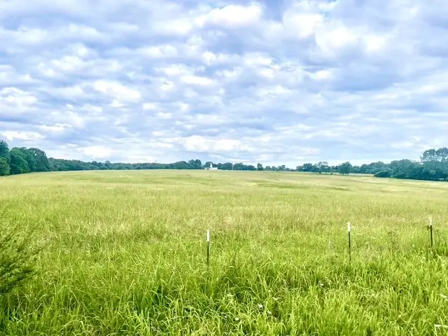 Berrywood Lane, Gassville, AR 72635 - #2