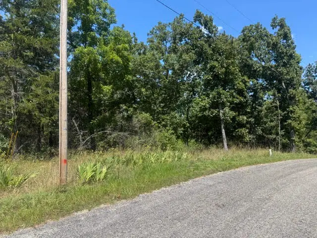 1 Azure Lane, Holiday Island, AR 72631 - #1