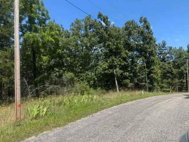 1 Azure Lane, Holiday Island, AR 72631 - #2