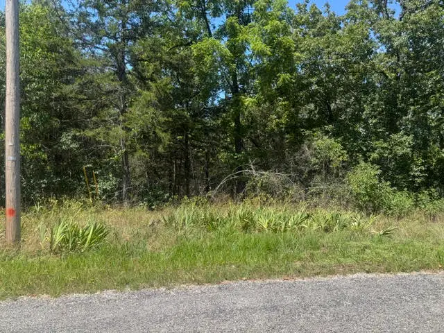 1 Azure Lane, Holiday Island, AR 72631 - #3