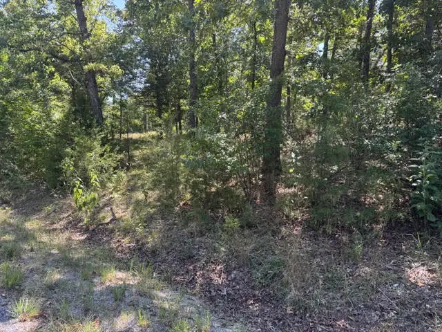 124 Valley Drive, Holiday Island, AR 72631 - #1