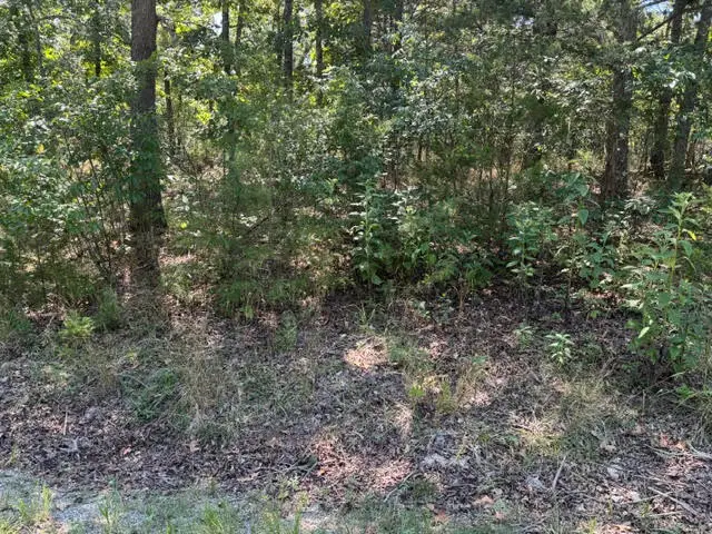 124 Valley Drive, Holiday Island, AR 72631 - #2