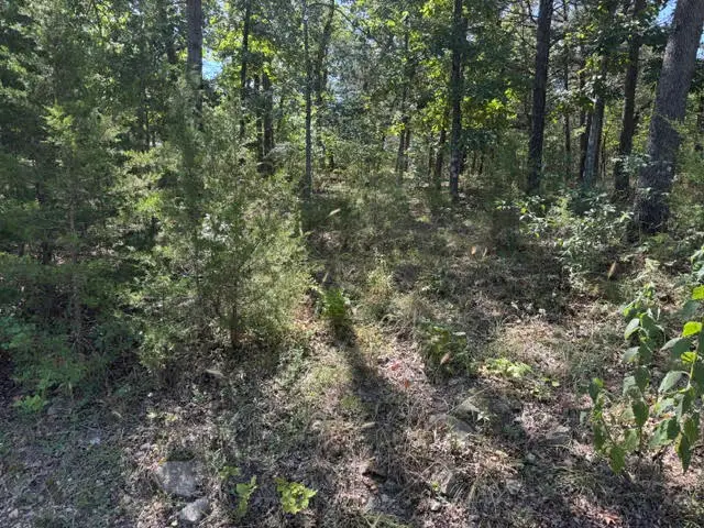 124 Valley Drive, Holiday Island, AR 72631 - #3