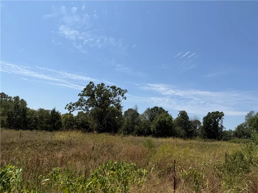3 Acres 10099 Cherokee Street, Gentry, AR 72734 - #2
