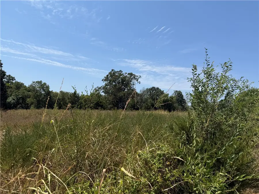 3 Acres 10099 Cherokee Street, Gentry, AR 72734 - #3