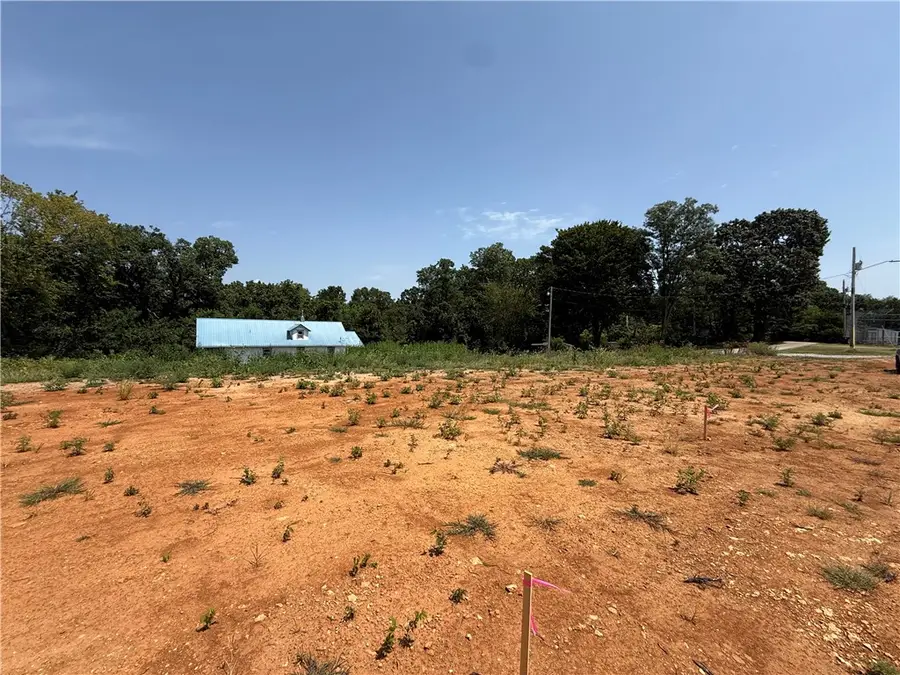 Lot 1 Little Street, Seligman, MO 65745 - #3