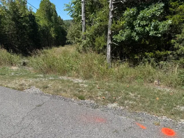 13 White River Lane, Holiday Island, AR 72631 - #1