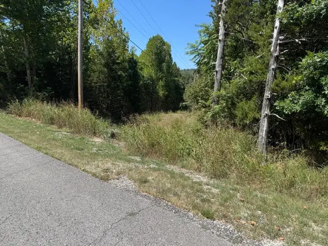 13 White River Lane, Holiday Island, AR 72631 - #2