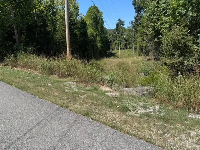 13 White River Lane, Holiday Island, AR 72631 - #3