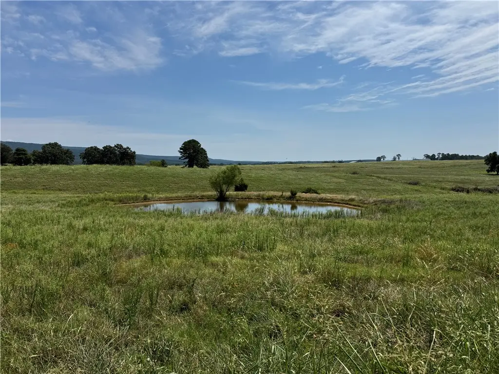 TBD Tract 2 Llewellyn Loop, Hector, AR 72843 - #1