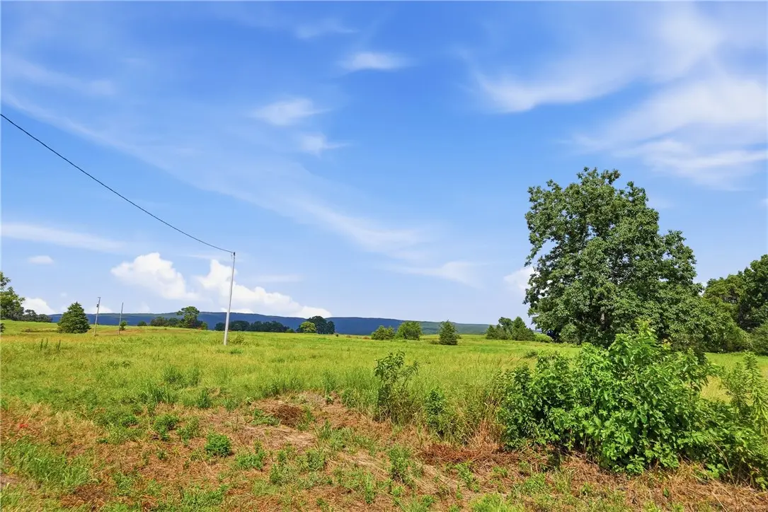 TBD Tract 4 Llewellyn Loop, Hector, AR 72843 - #1