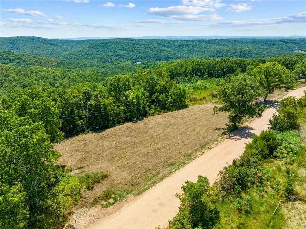 16850 Old Cricket Road, Omaha, AR 72662 - #1