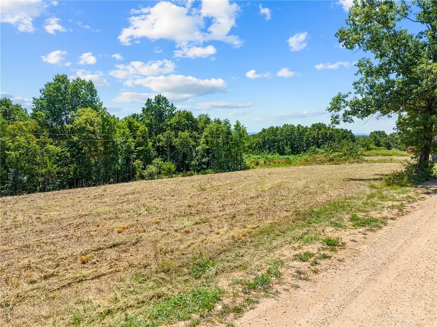 16850 Old Cricket Road, Omaha, AR 72662 - #2