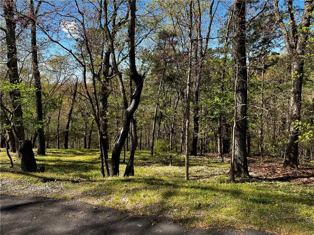 Kenilworth Drive, Bella Vista, AR 72714 - #1