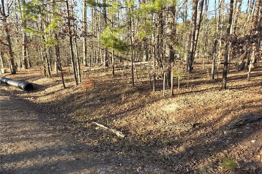 Belleza Way, Hot Springs Village, AR 71909 - #2