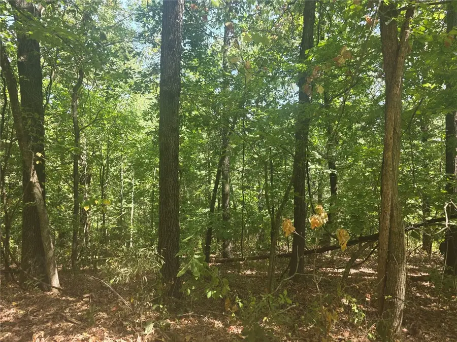 Lot 8, Block 5 Halford Circle, Bella Vista, AR 72715 - #3