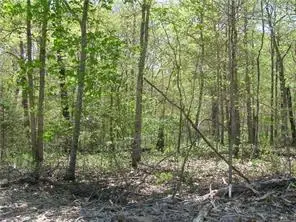 Argyll Drive, Bella Vista, AR 72715 - #1