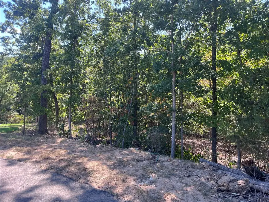 Lord Nelson Drive, Bella Vista, AR 72714 - #3