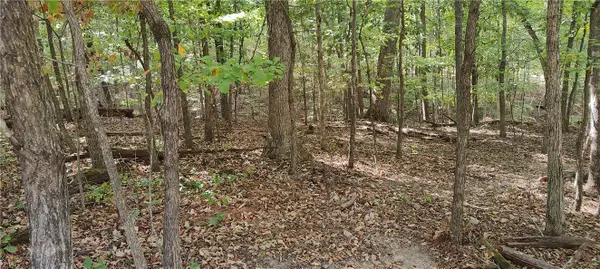 16-11641-000 Bell Lane, Bella Vista, AR 72714