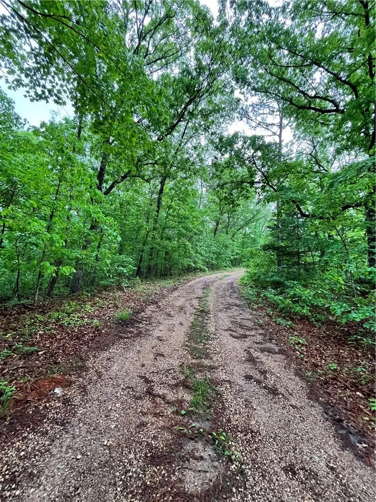 Dunholme Drive, Bella Vista, AR 72714 - #1