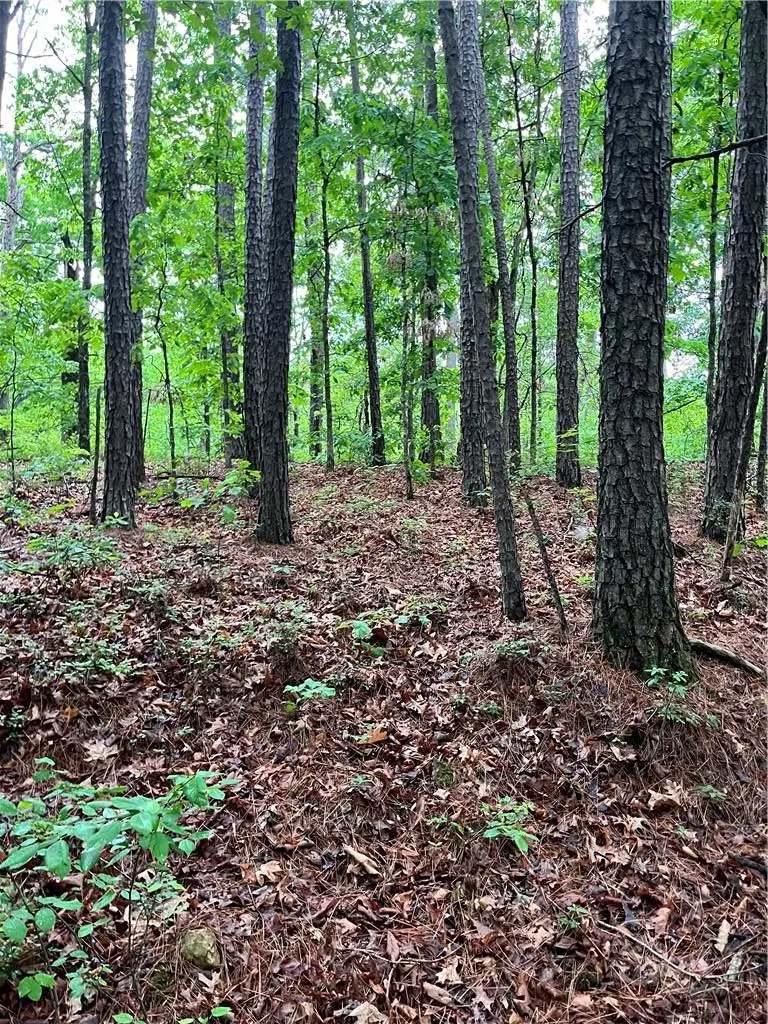 Dunholme Drive, Bella Vista, AR 72714 - #2