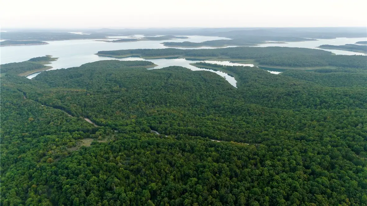 80 +/- acres Mc 164, Peel, AR 72668 - #1