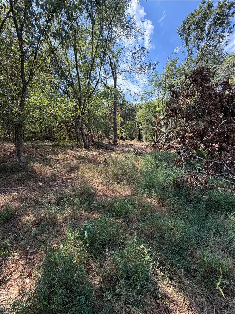 244 N N Hwy 244, Summers, AR 72769 - #2