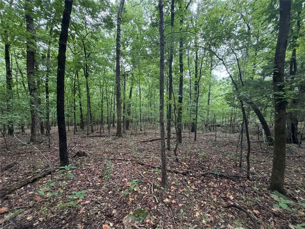 Tract 6 Nc 6832, Jasper, AR 72641 - #1