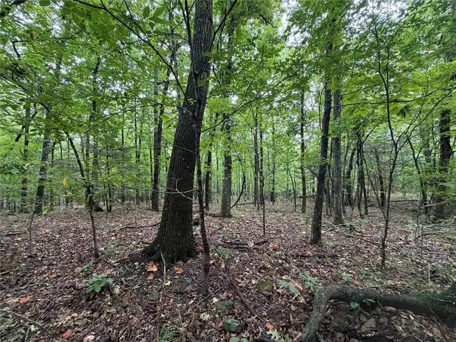 Tract 6 Nc 6832, Jasper, AR 72641 - #2