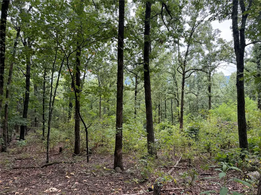 Tract 6 Nc 6832, Jasper, AR 72641 - #3