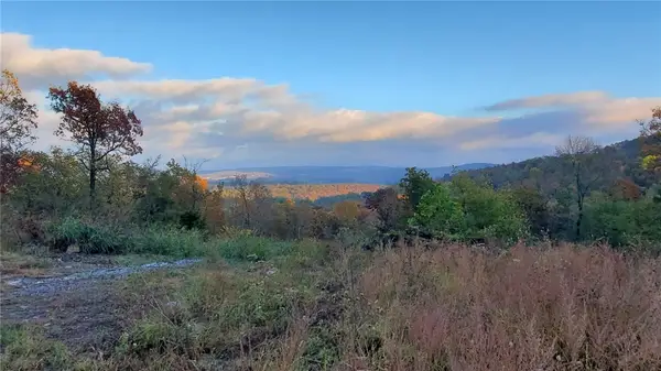 Tony Mountain Road, Fayetteville, AR 72701