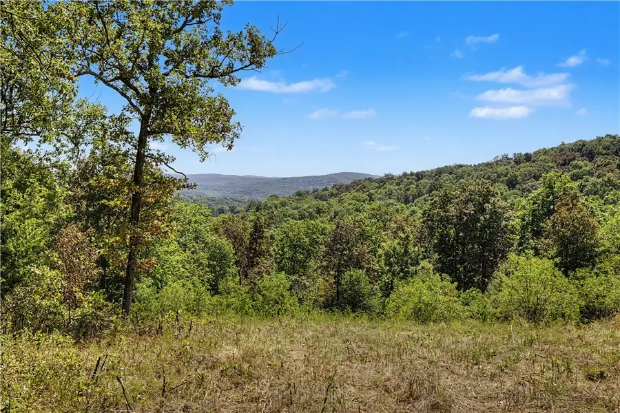 Tony Mountain Road, Fayetteville, AR 72701 - #2