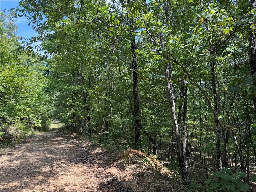 1 Madison 3405, Huntsville, AR 72740 - #3