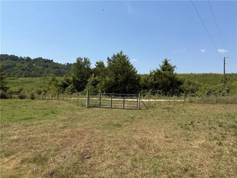 1 Madison 3655, Kings River, AR 72742 - #2