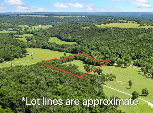 Lot 1 N Cedar Grove Road, Lead Hill, AR 72644
