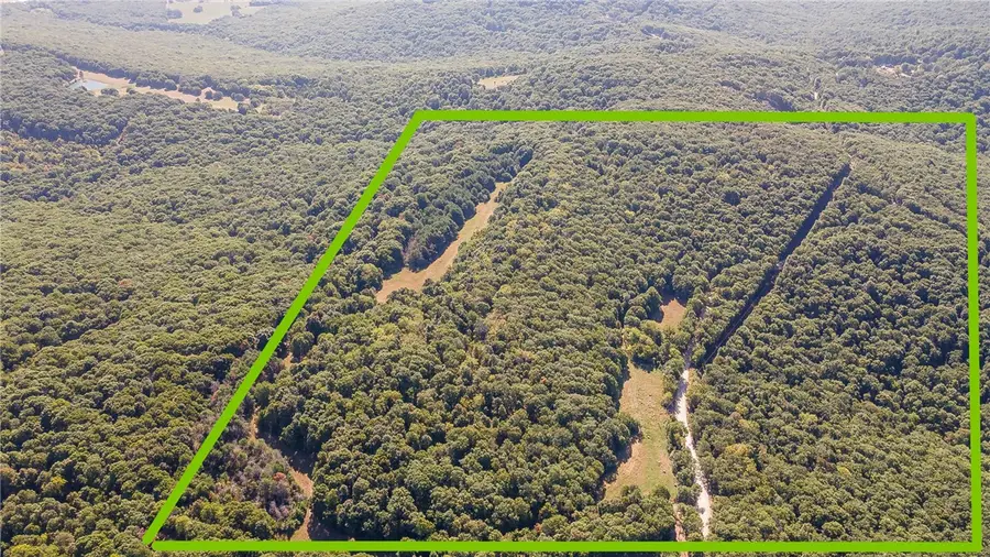 163 Acres Low Gap Road, West Fork, AR 72774 - #2