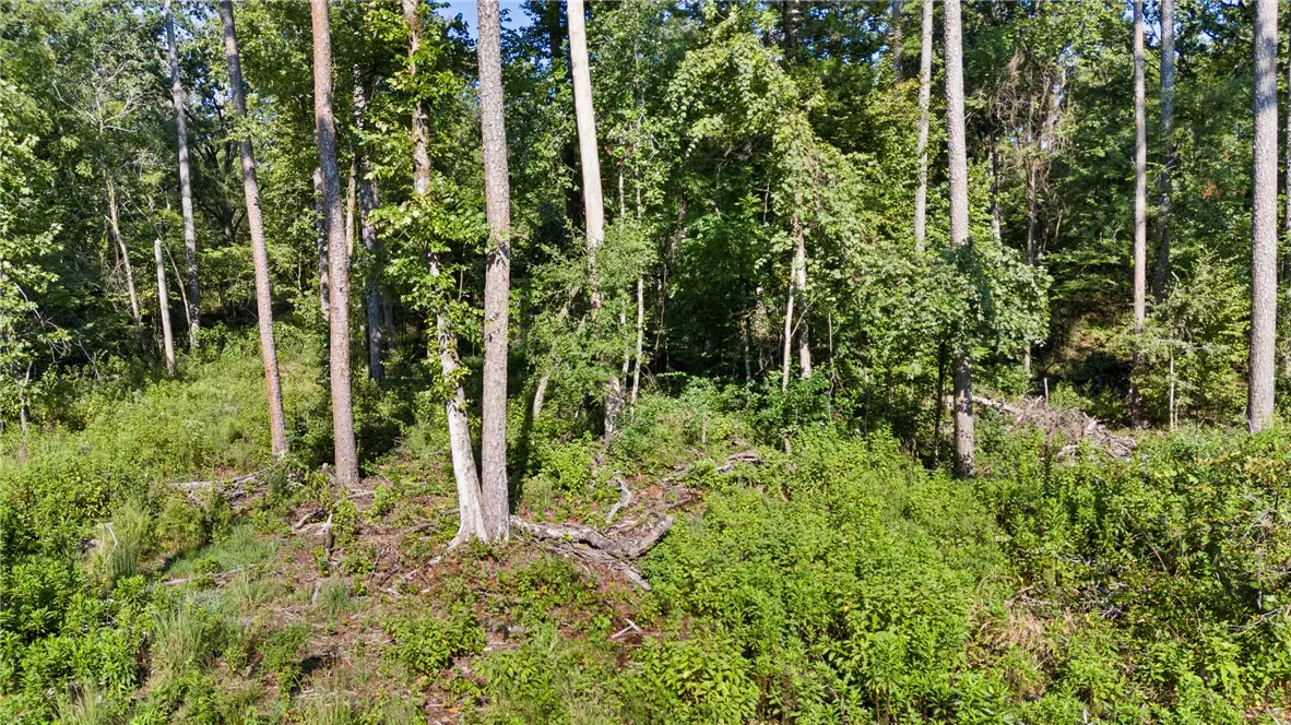 000 Welcome Home Road, Hector, AR 72843 - #1