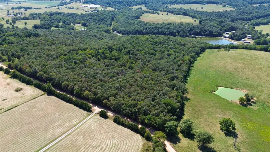 10 Acres Madison 2035, Huntsville, AR 72740 - #2