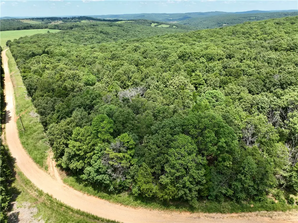 TBD Madison 3050, Witter, AR 72776 - #1