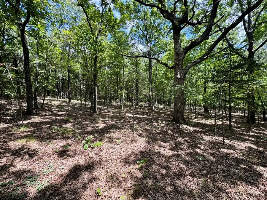 TBD Madison 3050, Witter, AR 72776 - #3