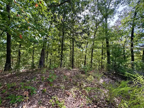 3 Burn Lane, Bella Vista, AR 72714