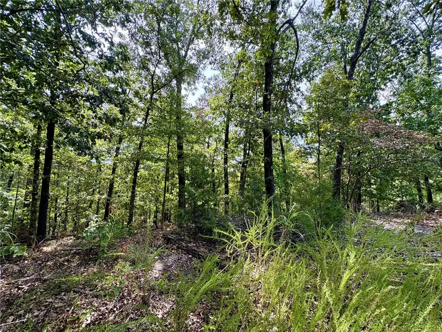 3 Burn Lane, Bella Vista, AR 72714 - #2
