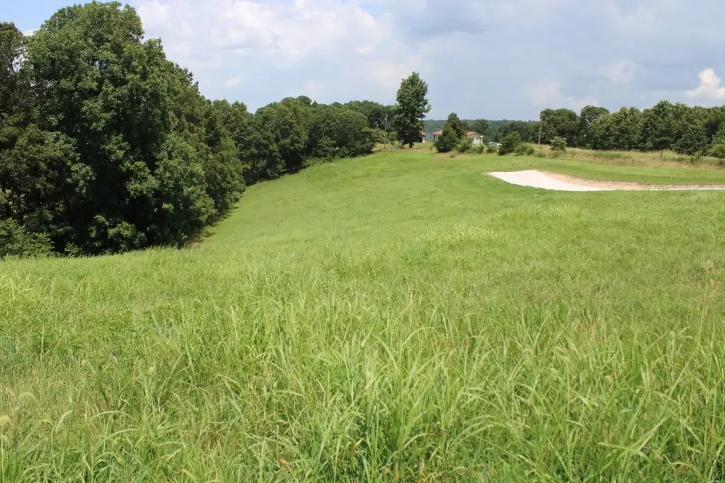 Zinc Road, Harrison, AR 72601 - #1